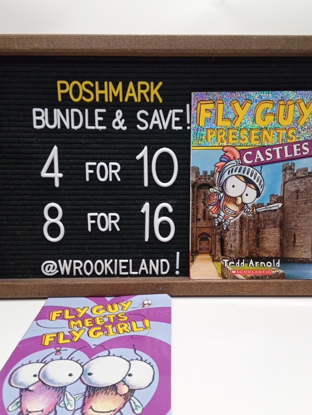 Fly Guy Level Reader Bundle Book#4